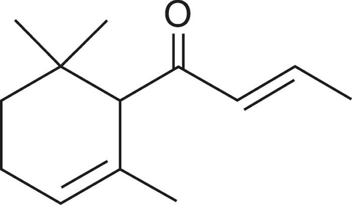 Hangzhou Grascent August