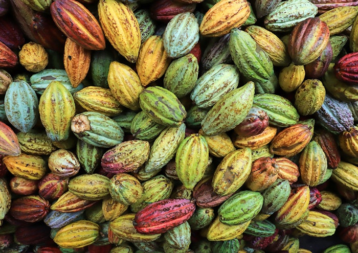 Taste, Nutrition & Health achieved organic sales growth of 10.0% in the first half of 2024, the segment’s sales in the reporting currency amounted to € 1,572 million, an increase of 2.9%.