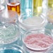 colorful cosmetic samples in glassware in chemistry lab poured in petri dishes AdobeStock_713341291