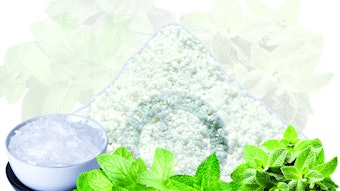 Spray Dried Mint Powder 1