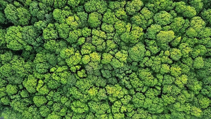 The company's climate mitigation activities are said to include improvements in operational efficiency, a full transition to renewable electricity and the reduction of indirect value chain emissions in collaboration with suppliers.
