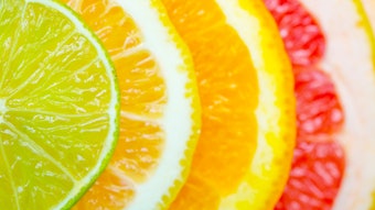 The panel discussion will focus on the impact on the industry and how flavorists and flavor houses can address these critical global issues by exploring alternative natural solutions.