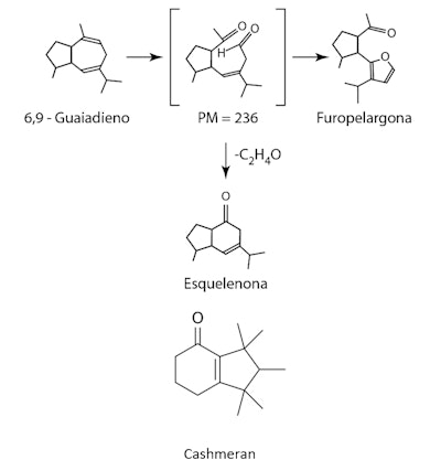 The chemical composition of Paramela oil includes certain products that structurally resemble an ingredient widely used in perfumery known by the trade name of Cashmeran.