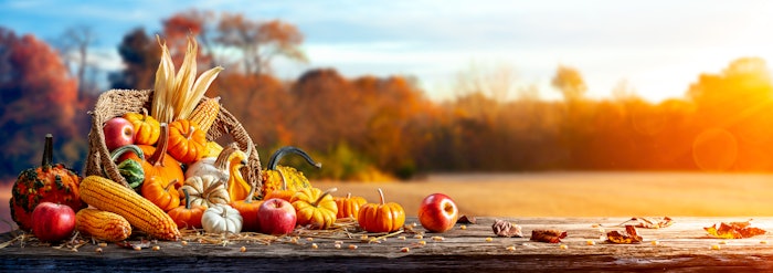 Adobe Stock 461349969