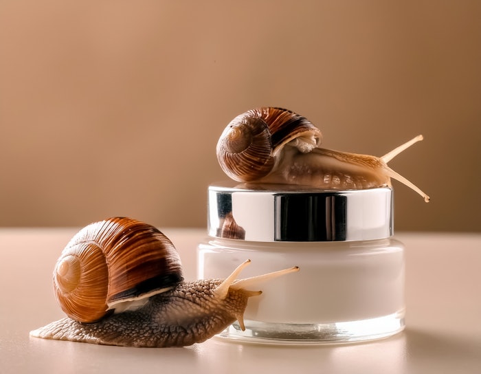 Snail Serum in Skin Care