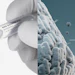 Exo Booster's bacterial exosome system delivers a superior alternative to existing human, animal or plant-based exosomes.