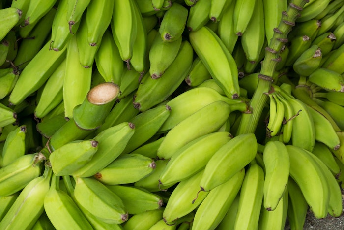 Made exclusively from upcycled green bananas, Green Banana Powder offers an innovative way to address food waste concerns.