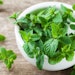 Mint farmers and scientists are working hand in hand to preserve quality and ensure reliable yields and authentic, enjoyable mint flavors are available for generations to come.