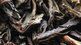 Agrumaria Reggina June Roundup