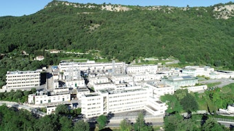 CEO Samantha Mane shared, 'Our consumer insight department is essential for understanding consumer needs globally and driving fragrance innovation.'