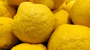 Agrumaria Reggina July Roundup