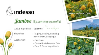 Indesso Graphic Element R