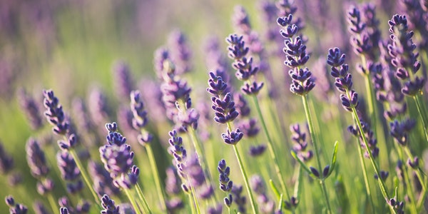 The 18th edition of the International Exhibition of Raw Materials for the Perfumery Industry was held in Paris, France.