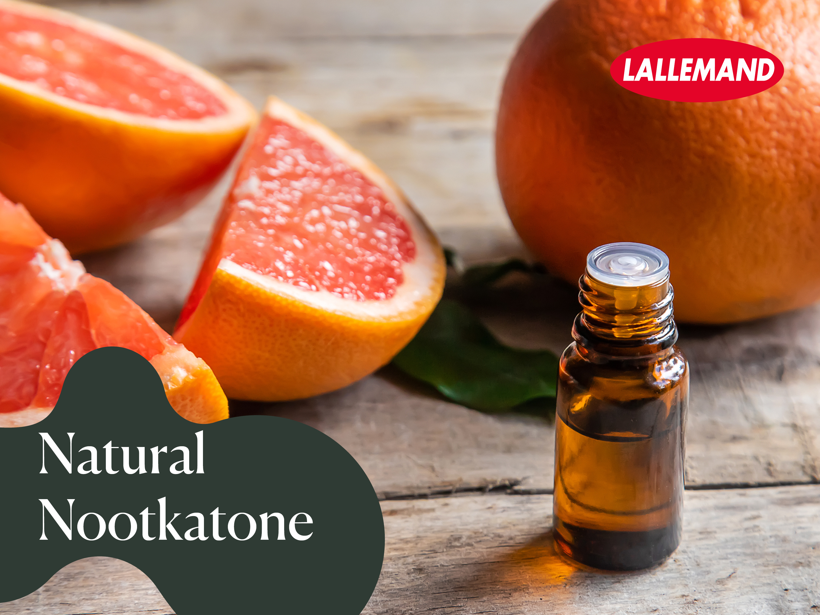 Leaders800x600 6407d45f229700