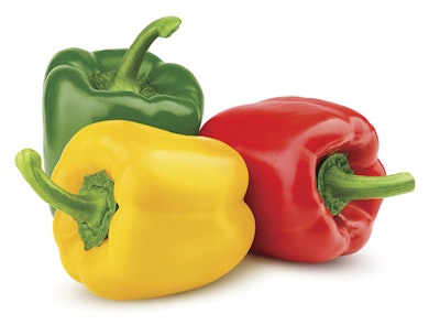 Adobe Stock 287253716