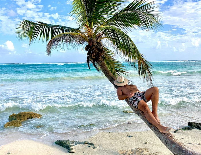 Searches such as 'tropical colognes' and 'best fruity colognes' are trending on TikTok.