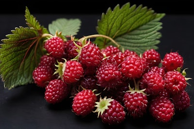 Loganberry flavors often have some characteristics in common with blackberry flavors.