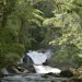 Images of Legado das Águas – Atlantic Forest Reserve in Brazil.