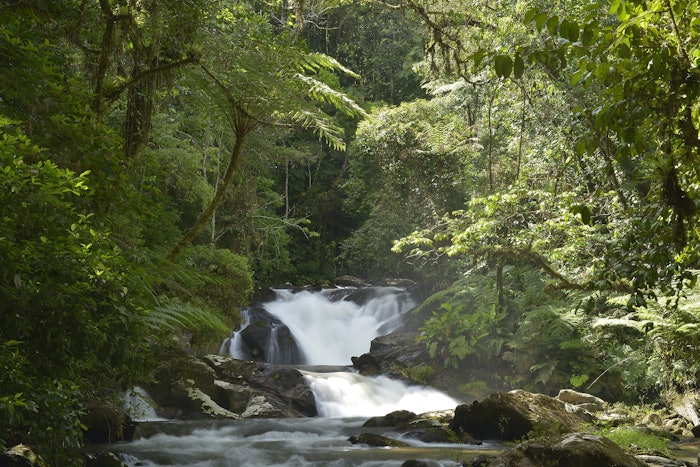 Images of Legado das Águas – Atlantic Forest Reserve in Brazil.