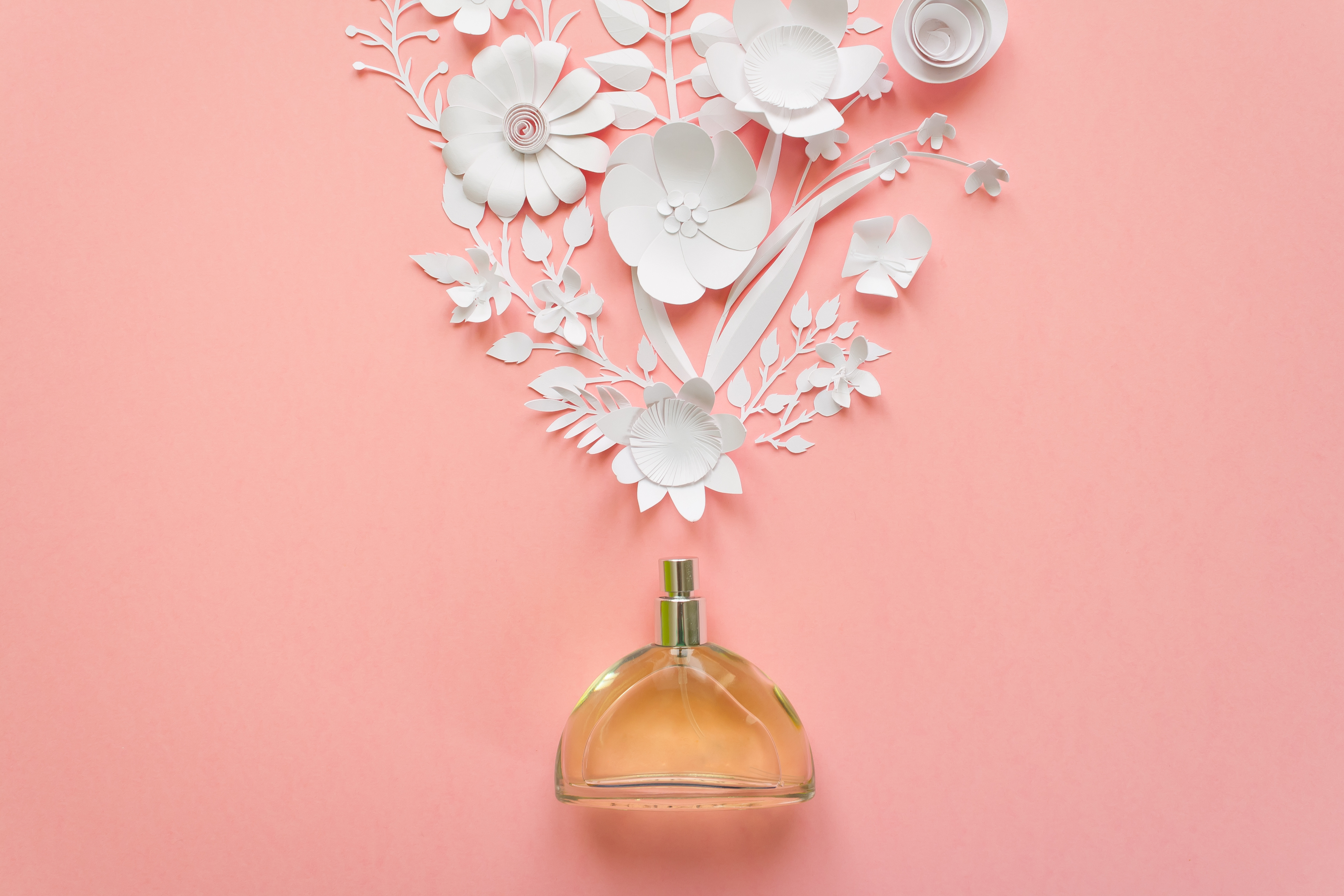 To all of our readers and the F&F community, thank you.