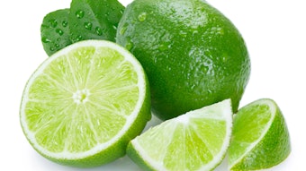 The taste of Isobionics' new ingredient was described as sappy, slightly floral, waxy apple or pear skin, citrus and some white flower notes.