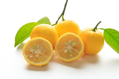 The essential oil derived from Yuzu features a complex and rich profile of aromatic compounds.
