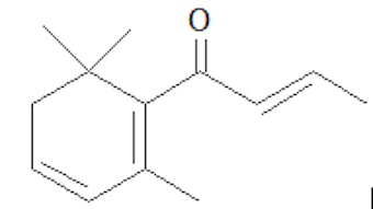 Hangzhou Oct Roundup