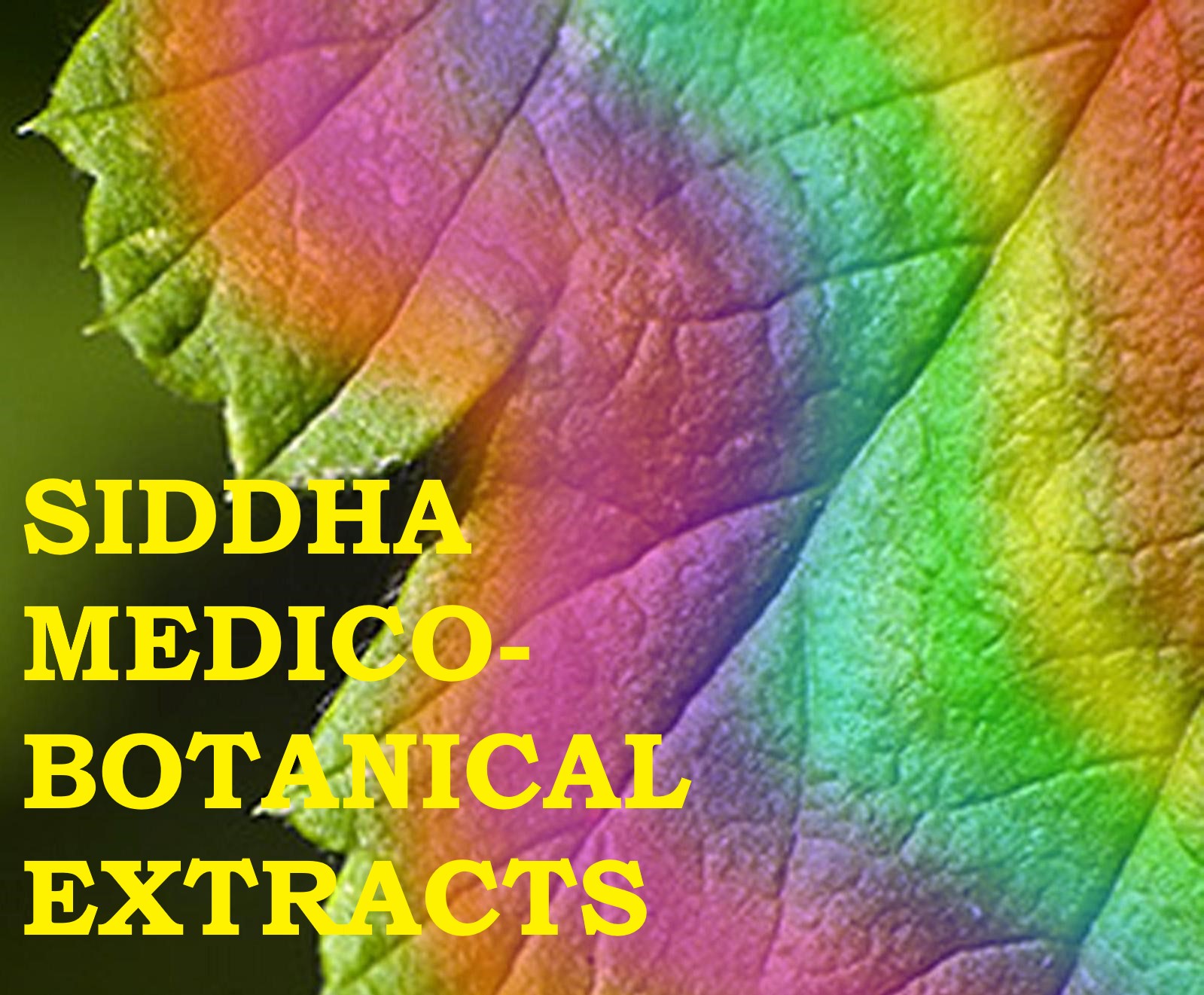 Siddha Medico