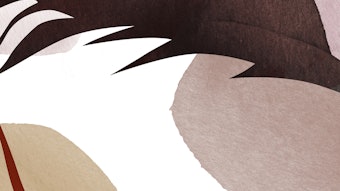 Sym Amingredientfinderkvaurelione