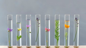 The Research Institute for Fragrance Materials (RIFM) was founded in 1966 as an independent, non-profit organization.