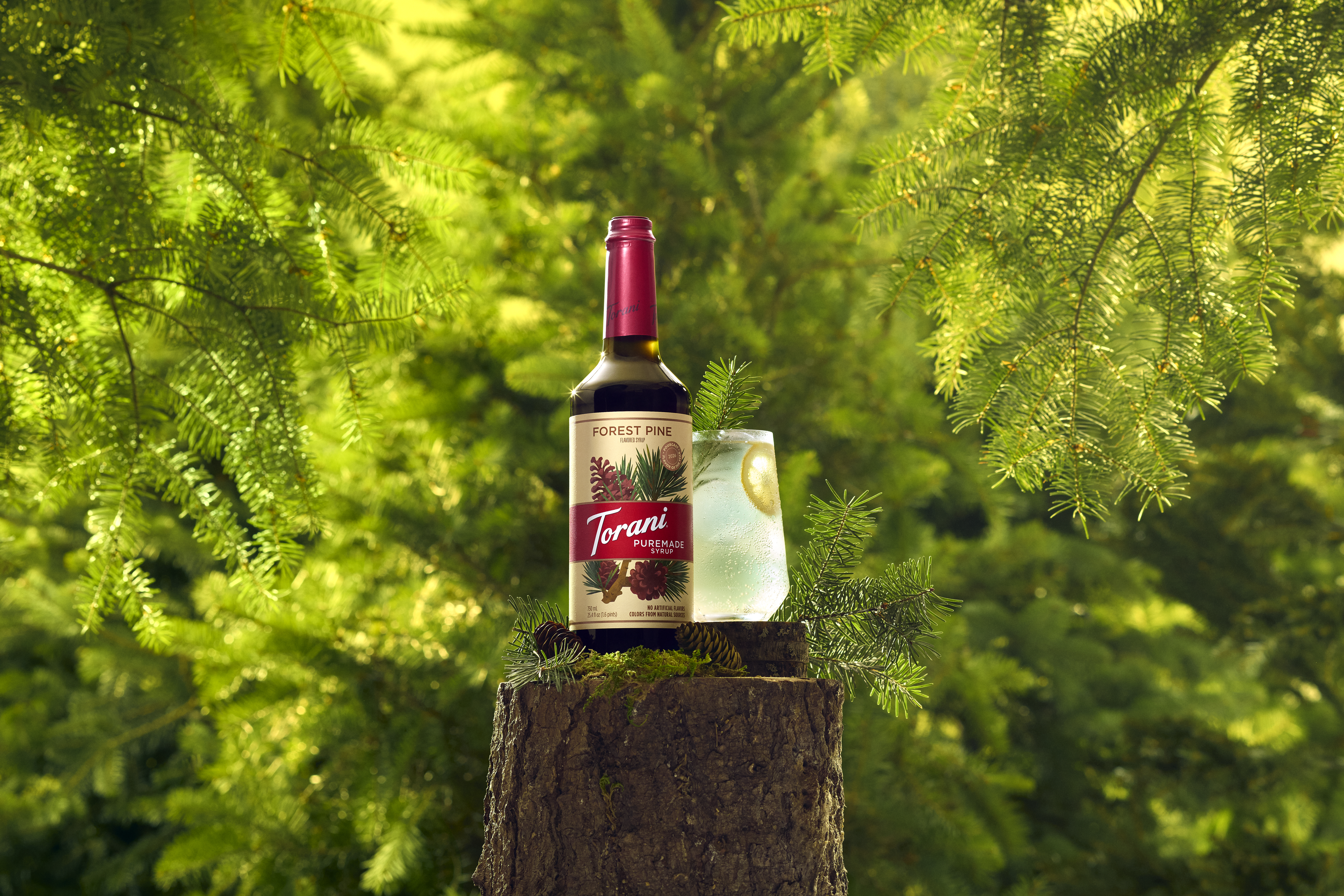 Torani&rsquo;s Forest Pine syrup can be used in a variety of applications, including cold and hot coffee, tea, mocktails, cocktails and sparkling refreshers.