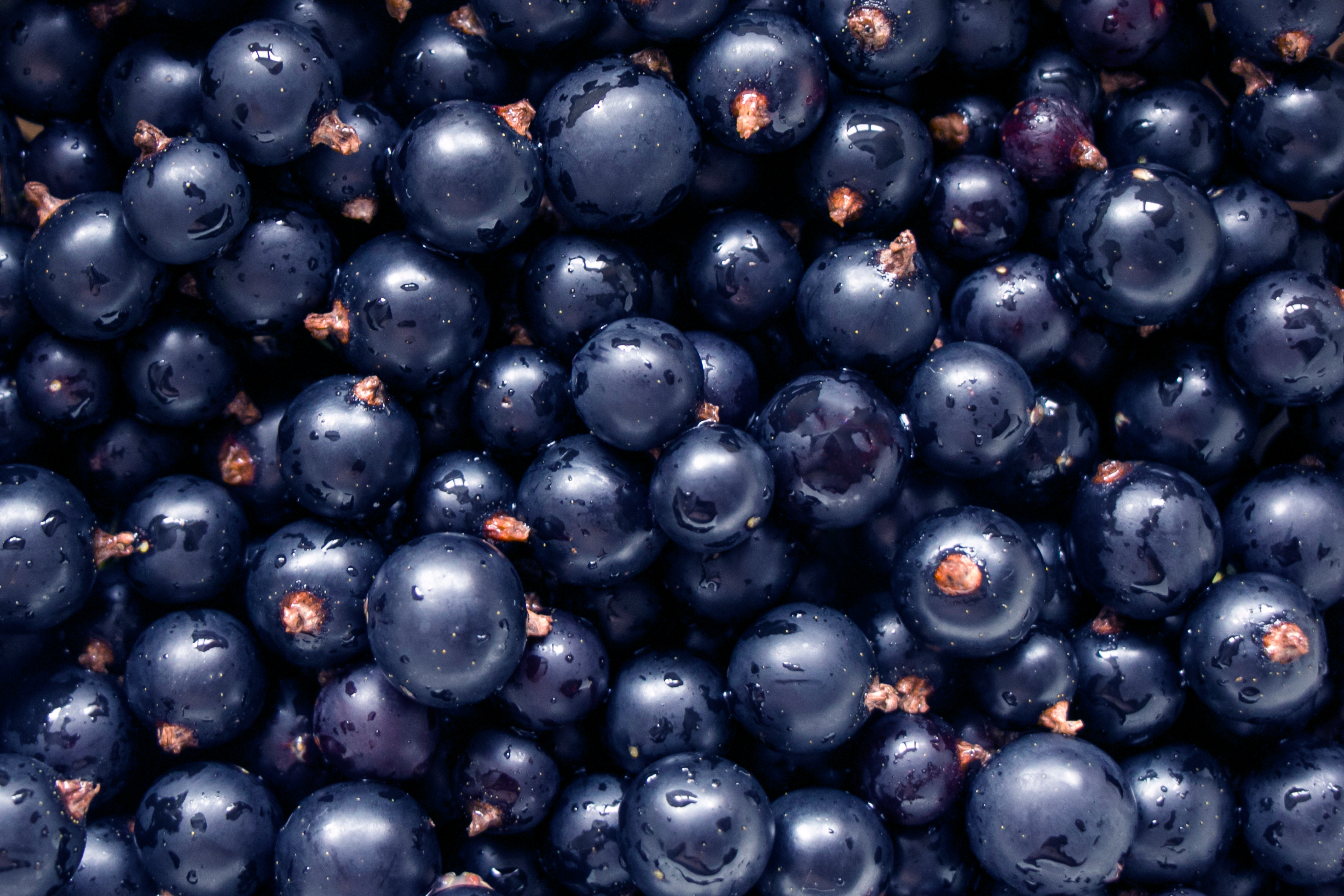 Black currant berries are commonly used as ingredients in jams, syrups, candies, desserts, drinks and liqueurs.