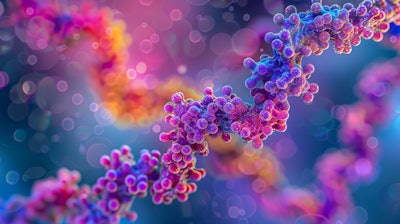 Hallstar earned the silver award for its UBI Oléoactif at In-cosmetics Asia 2025.