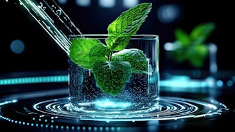 RCB International supplies essential oils of peppermint, spearmint, erospicata and other mint varieties.