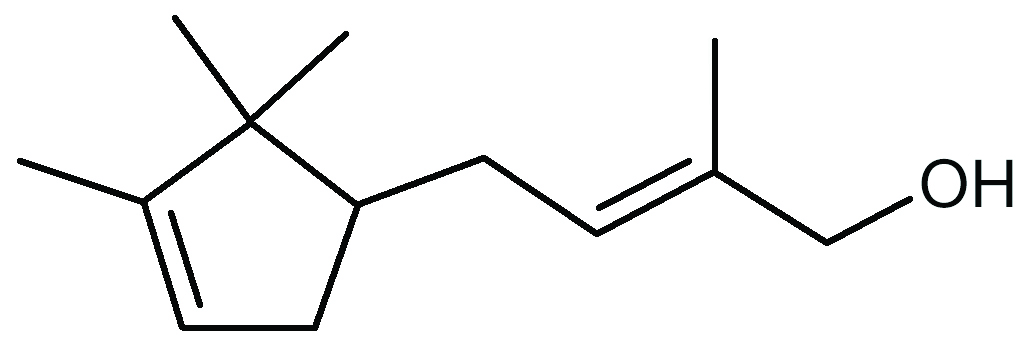 Hangzhou Dec Roundup