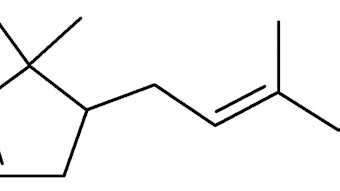 Hangzhou Dec Roundup