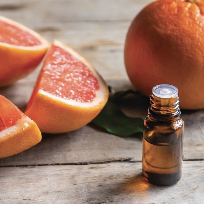 Lallemand Dec Roundup