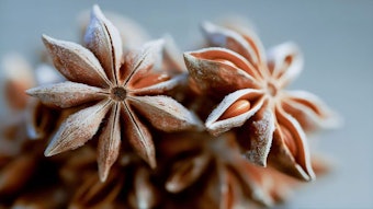 Star anise contains a sweet-spicy profile with notes of licorice, clove and cinnamon.