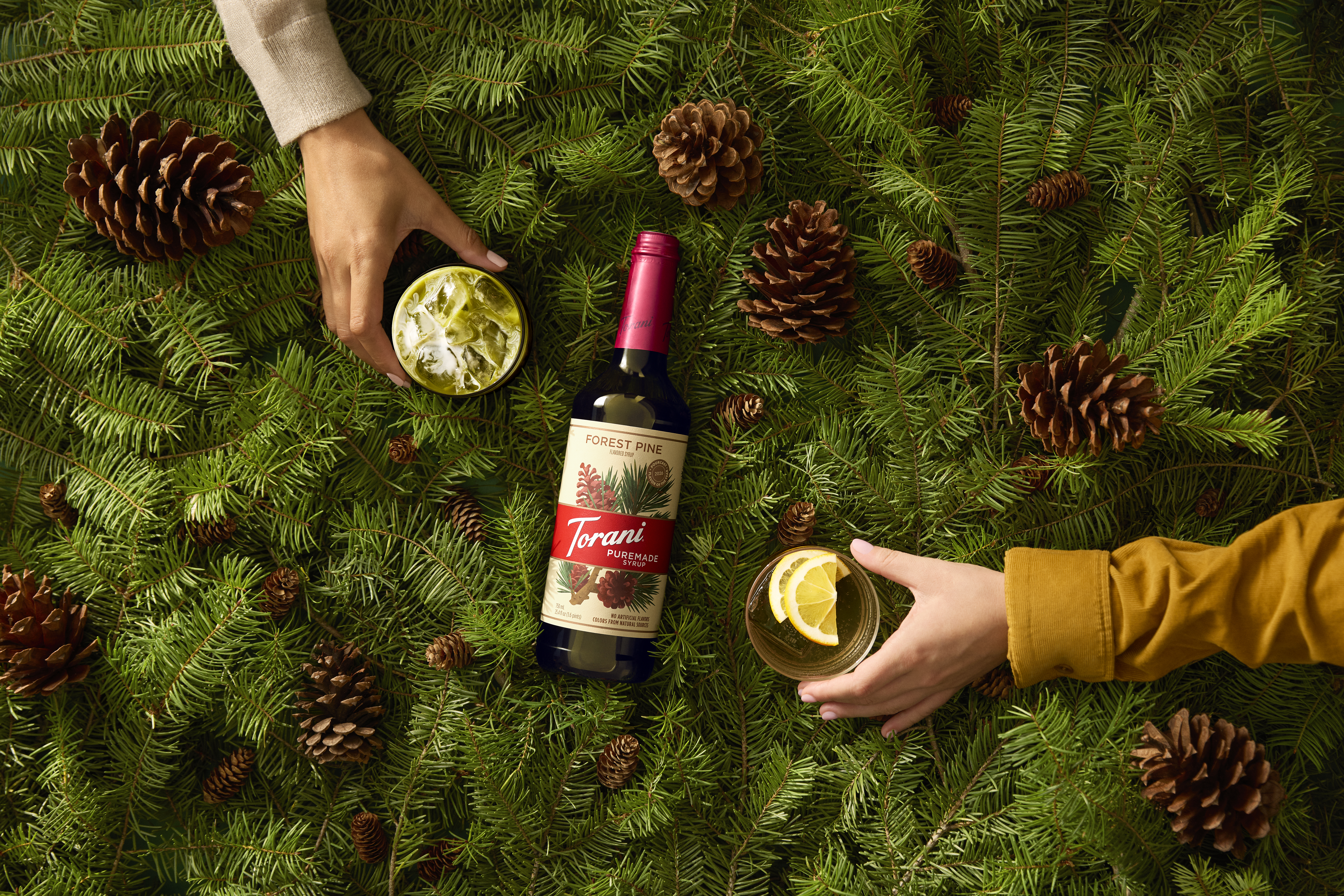 Forest Pine is described as a fusion of pine, ginger and sage.