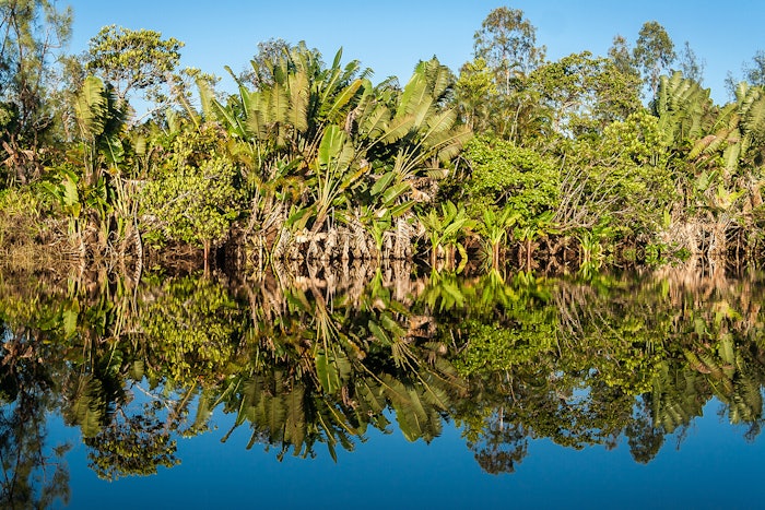 25 11 14 Image Press Release Symrise Cop 30 Houston (1)