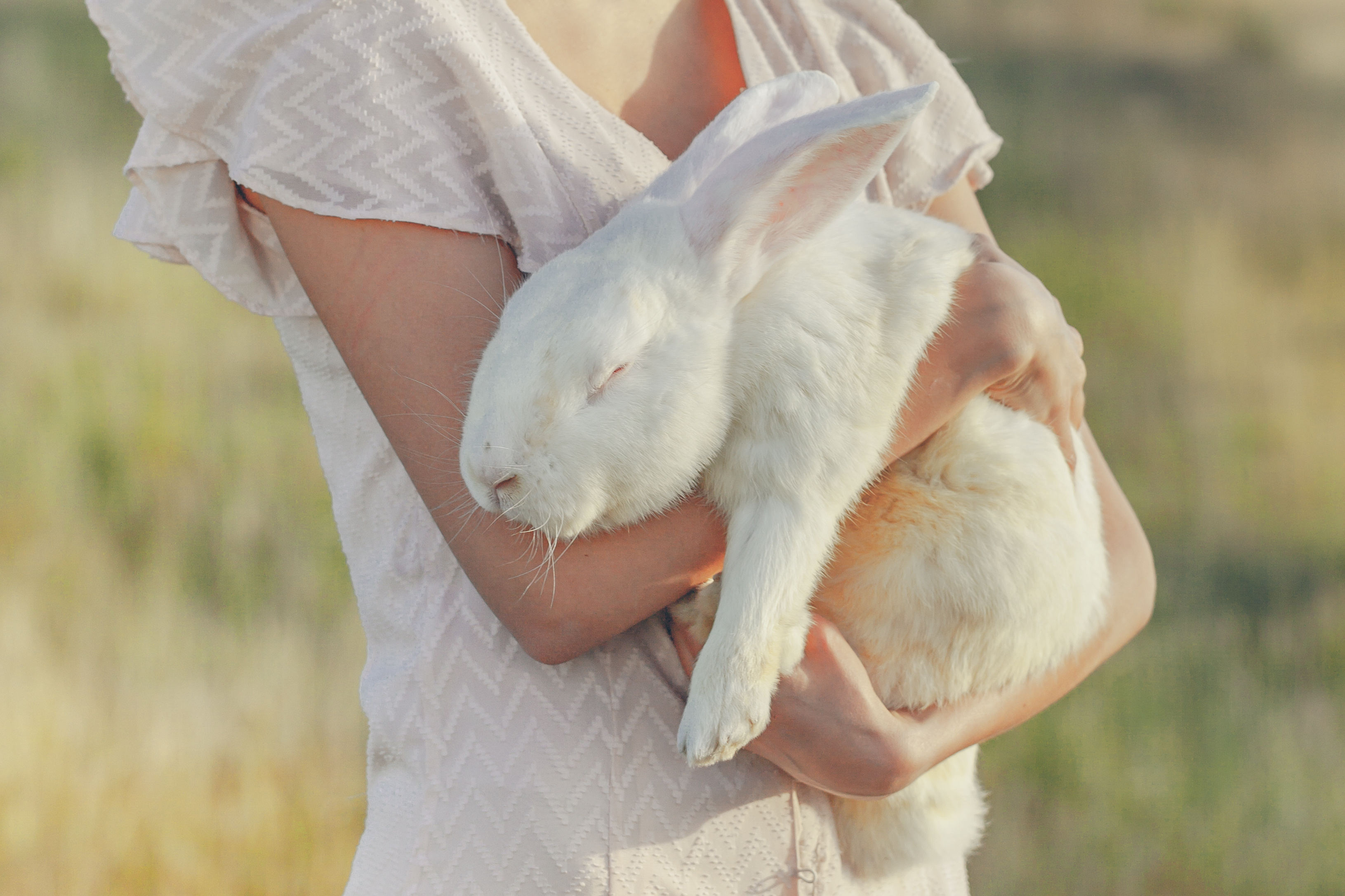 When consumers request vegan skin care, 89% are actually seeking associated benefits such as cruelty-free, clean or natural formulations. Only 11% correctly identify 'vegan' with its actual meaning&mdash;animal-free ingredients.