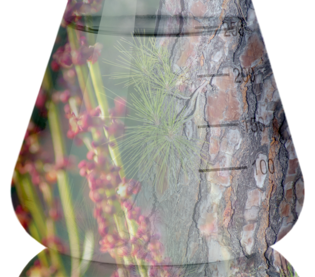 Tensylpro Flask