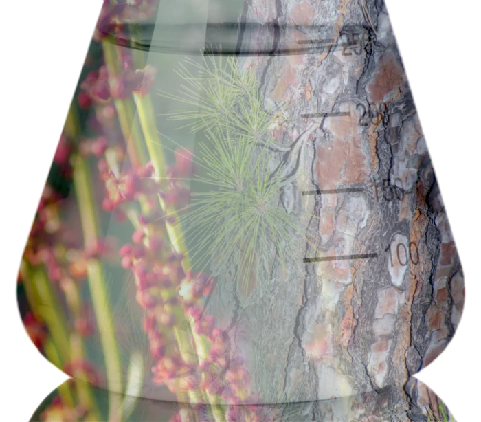 Tensylpro Flask