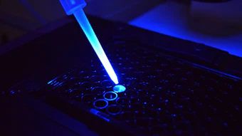 'By combining this know‑how with a high‑throughput in vitro screening platform, ChemoSensoryx and Mane can precisely evaluate how large libraries of compounds, whether raw or purified natural extracts or synthetic molecules, interact with each of these receptors,' says Fanny Lambert, biotechnology department director at Mane. 'This approach generates, for every compound tested, a comprehensive olfactogram: essentially a detailed olfactory, gustatory and trigeminal signature.'