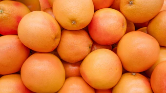 Grapefruit jpeg