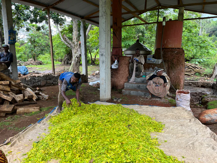 Travel2Ingredients (T2I) is positioning itself as a bridge across that divide, offering structured field immersion experiences designed to reconnect fragrance professionals with the ecological, cultural and agricultural realities behind botanical raw materials.