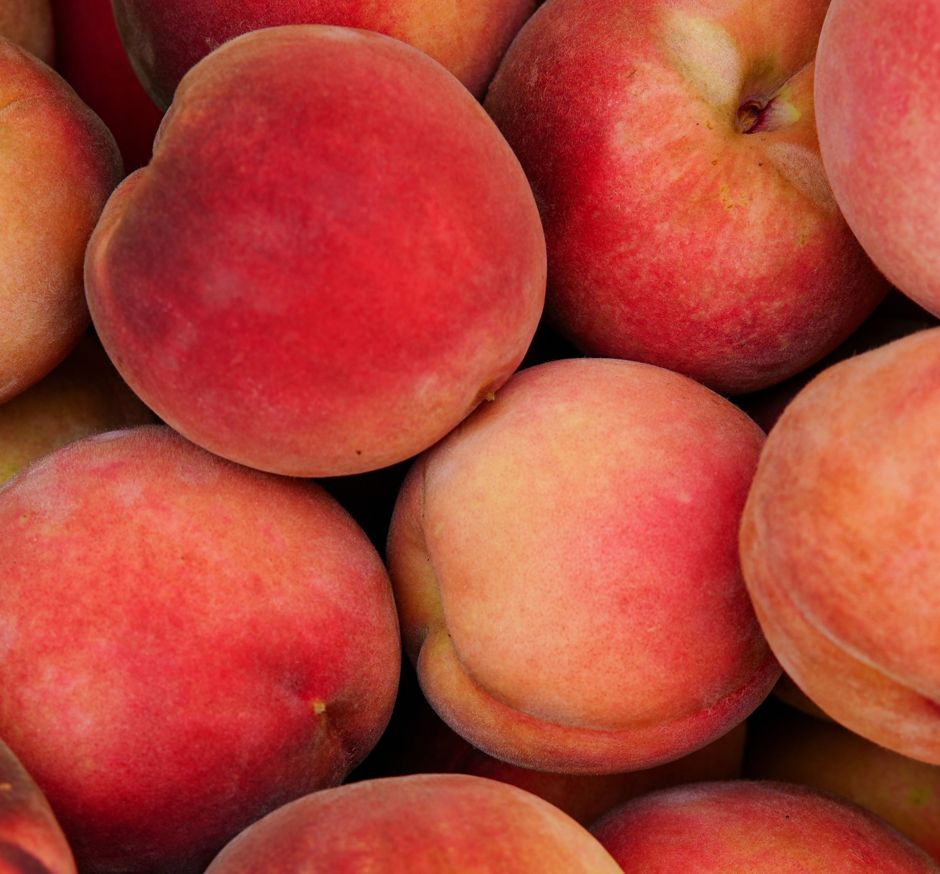 Peach
