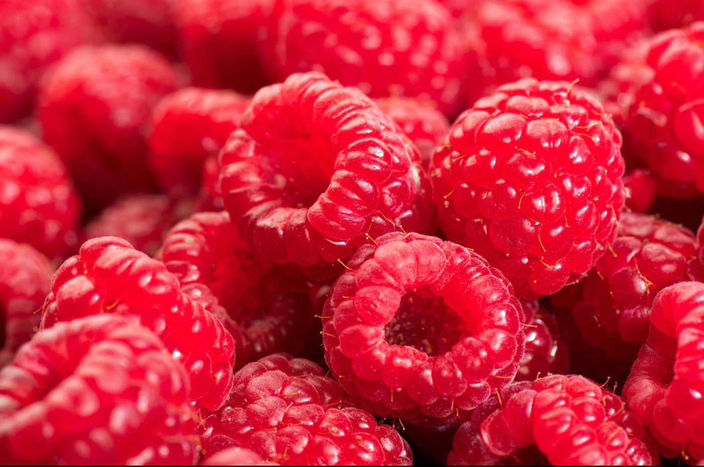 Regium Fruit Raspberry Raspberry, Reimagined and Refined From: Agrumaria Reggina | Perfumer ...