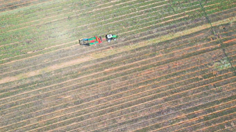 Zalabí leverages its unique Mediterranean terroir—characterized by Sierra Nevada snowmelt aquifers and extreme thermal shifts—to deliver expressive, technically reliable oils like Spanish red thyme, marjoram and sage.