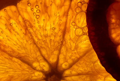 Lemon Oil Citral-less Terpeneless' strong sesquiterpene profile could complement citrus tonalities such as orange and grapefruit.